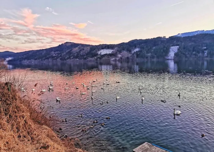 Hepp-lounge * סיבודן